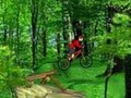 Mountain Bike žaisti internete