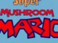 Super Mushroom Mario žaisti internete