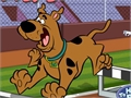 Scooby Doo - jojimas žaisti internete